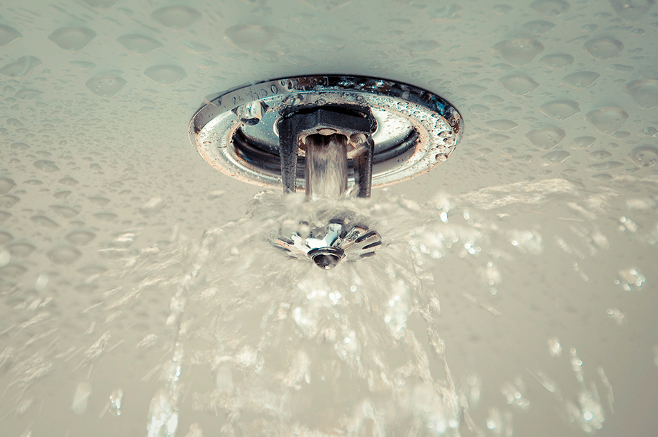 Fire Sprinkler Fire Sprinkler